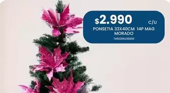 Ponsetia 33x40cm 14P Mag