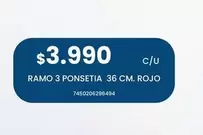 Ramo 3 Ponsetia 36 Cm. Rojo