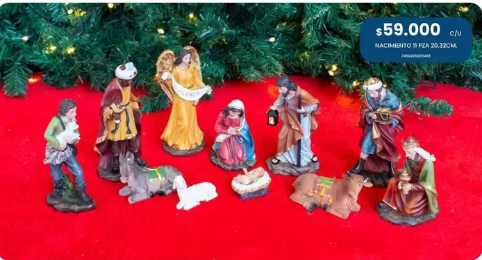 Macardin A Paz Adulte