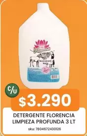 Florencia - Detergente Limpieza Profunda 3 Lt