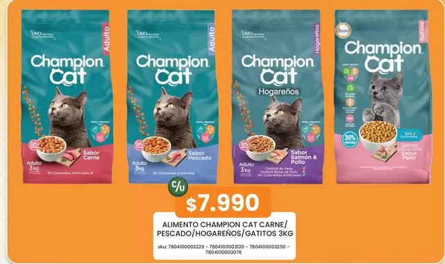 Cat - Alimento Champion  Carne/Pescado/Hogarenos/Gatitos