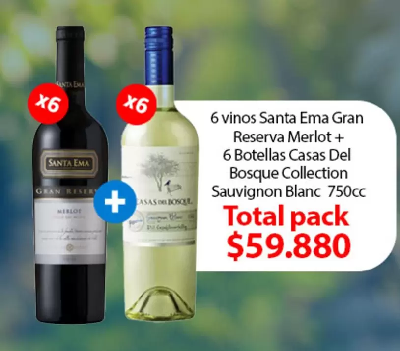 Santa Ema - 6 Vinos  Gran Reserva Merlot + 6 Botellas