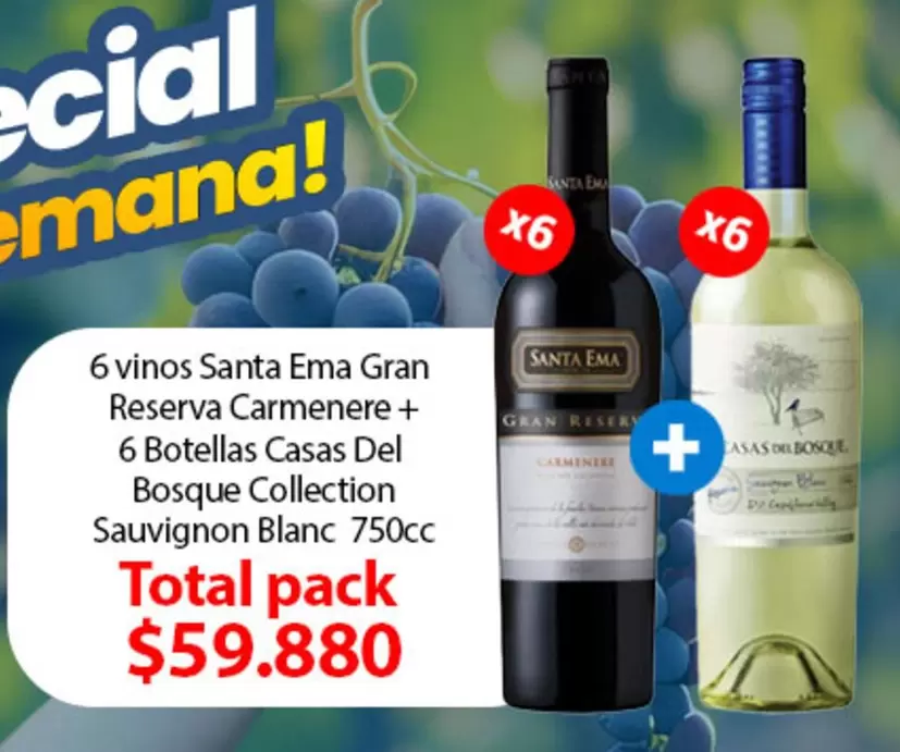 Carmenere - 6 Vinos Santa Ema Gran Reserva  + 6 Botellas Casas Del Bosque Collection Sauvignon Blanc Total Pack