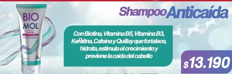Bio - Shampoo Anticaída