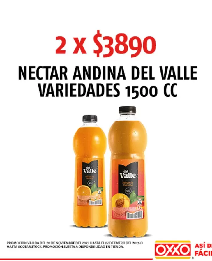 Andina - Nectar Del Valle