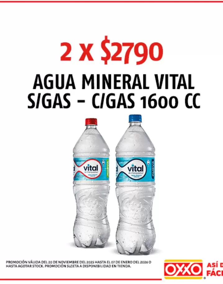 Vital - Agua Mineral  S/Gas