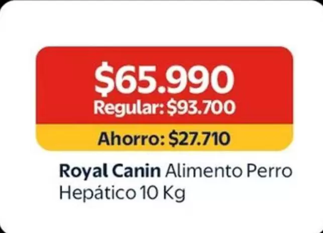 Royal - Canin Alimento Perro