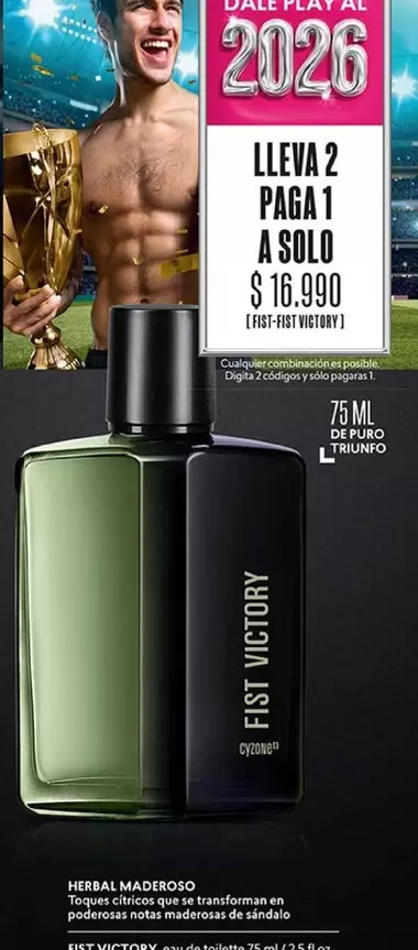 Cyzone - Vino Tinto D.o. Ribera Del Duero