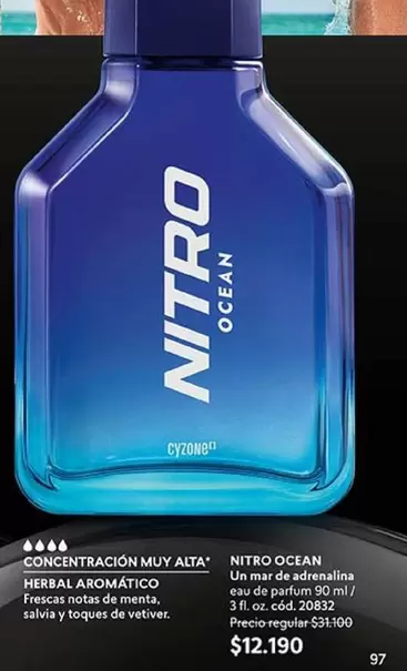 Ocean - Concentracion Muy Alta Un Made Adornation