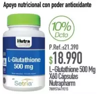 Apoyo Nutricional Con Poder Antioxidante