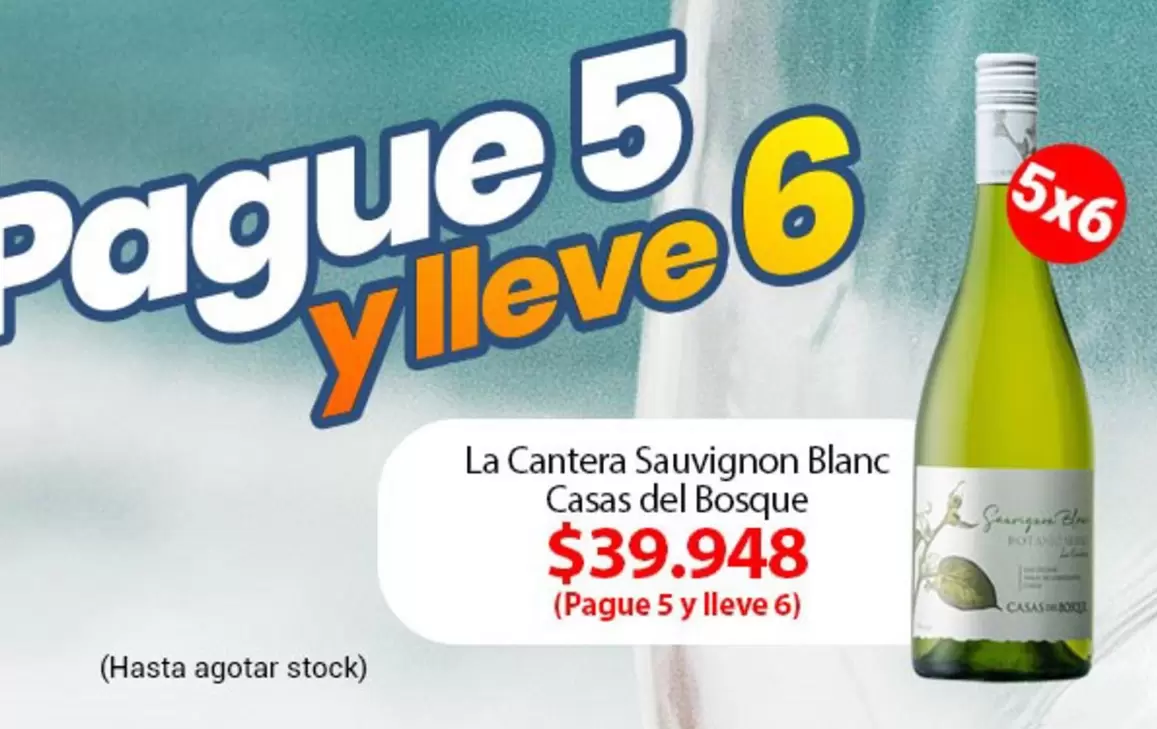 Casas del Bosque - La Cantera Sauvignon Blanc