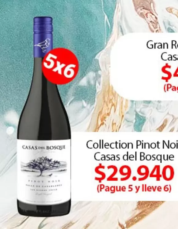 Casas del Bosque - Collection Pinot Noir
