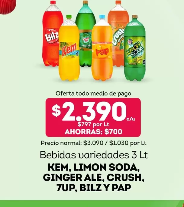 Bilz - Bebidas Variedades