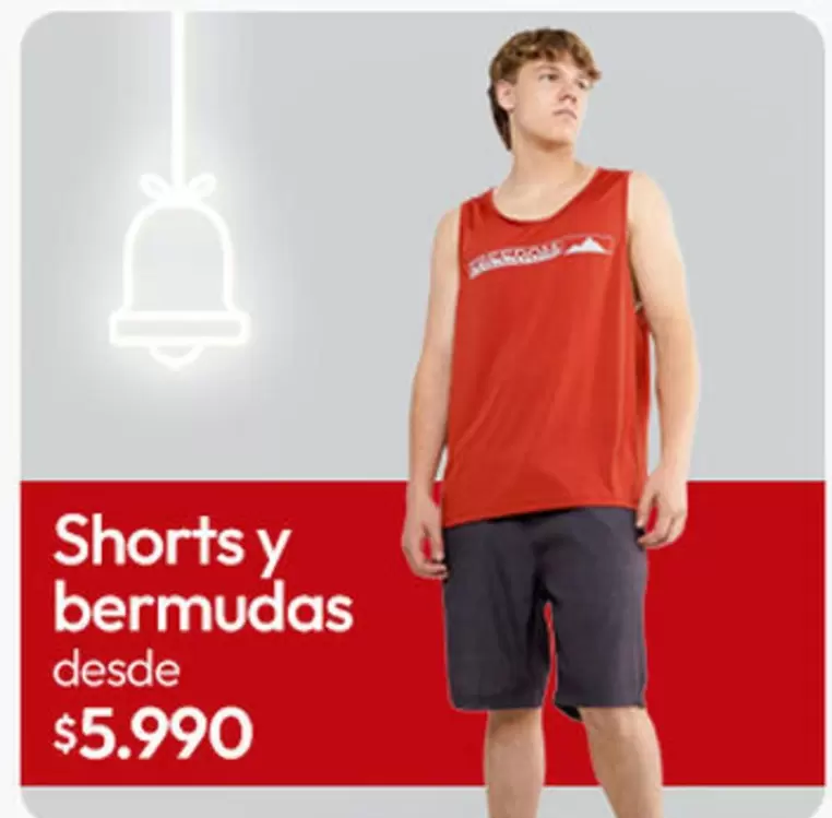 Shorts Y Bermudas