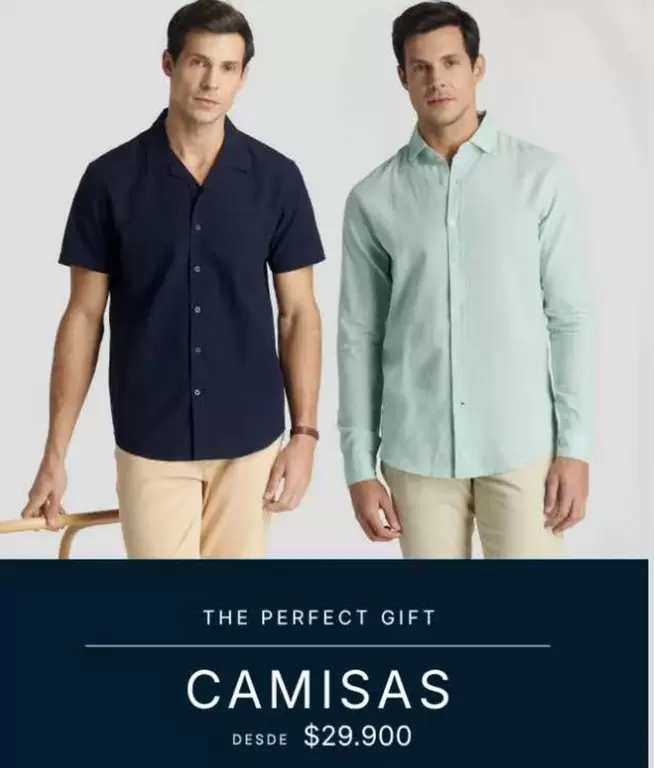 Camisas