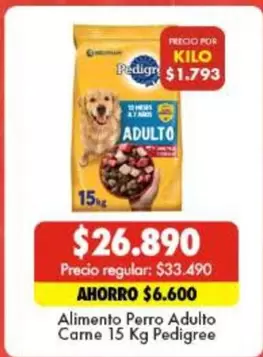 Pedigree - Alimento Perro Adulto Carne