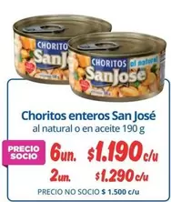 San José - Choritos Enteros