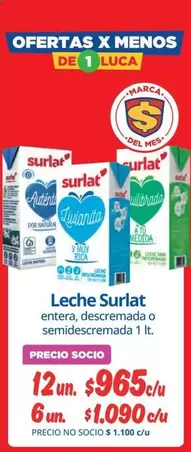 Surlat - Leche