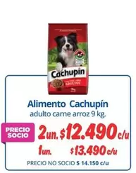 Cachupin - Alimento