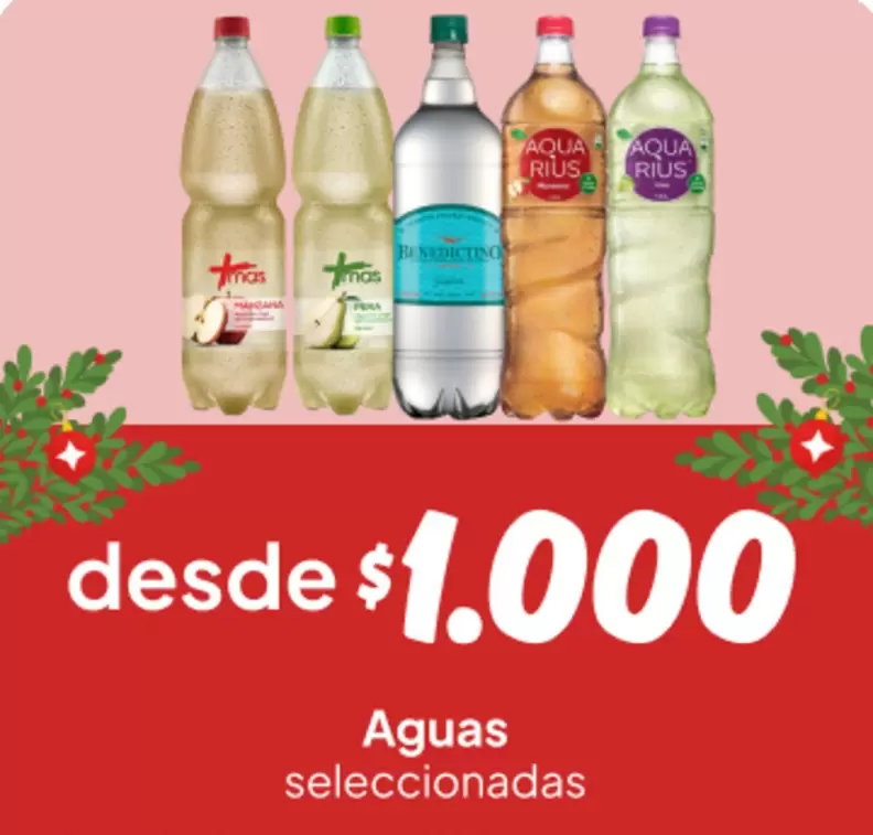 Benedictino - Aguas Seleccionadas