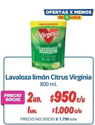 Virginia - Lavaloza Limon Citrus