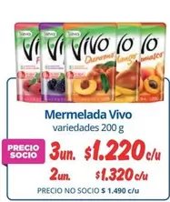 Vivo - Mermelada