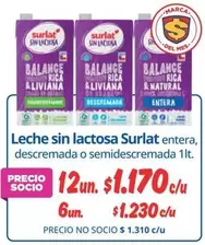 Surlat - Leche Sin Lactosa