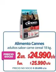 Cannes - Alimento