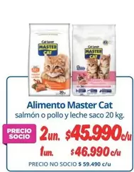 Cat - Alimento Master