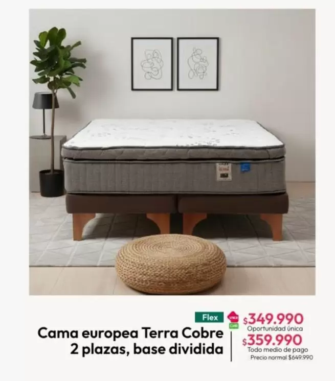 Flex - Cama europea Terra Cobre 2 plazas, base Dividida