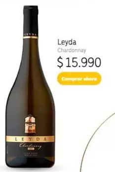 Chardonnay -