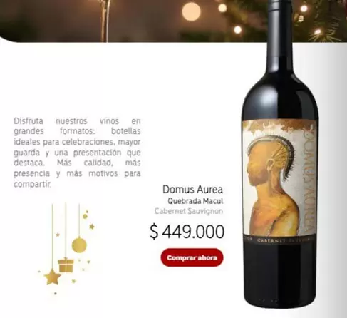 Disfruta - Domus Aurea