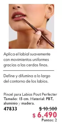 Pincel Para Labios Pour Perfecter