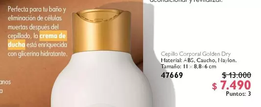 Perfecta - Cepillo Compral Garden Dry, ItalyEnal B&G