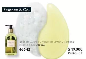 Essence - Jabón De Cuerpo Y Manos De Limón Y Verbena Essense & Co.
