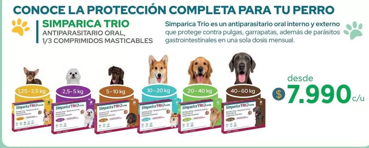 Trio - Conoce La Protección Completa Para Tu Perro