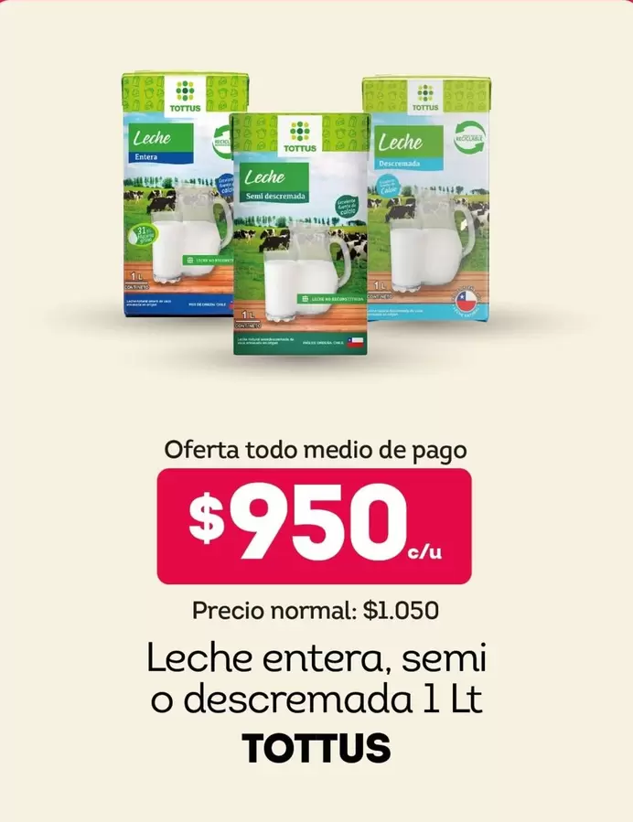 Tottus - Leche Entera, Semi O Descremada
