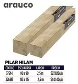 Arauco - Pilar Hilam