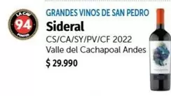 Andes - Grandes Vinos De San Pedro