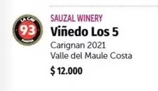 Costa - Vinedo Los 5