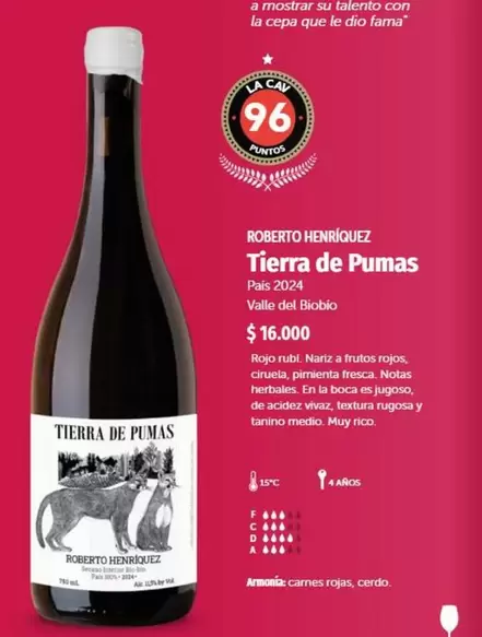 Tierra De Pumas