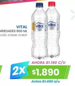 Vital - Ariedades 600 Ml