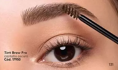 Castaño - Tint Brow Pro