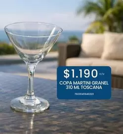 Martini - Copa Granel 310 Ml Toscana