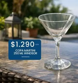 Martini - Copa 250 Ml Windsor
