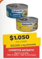 Antartic - Choritos