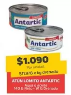 Antartic - Atun Lomito