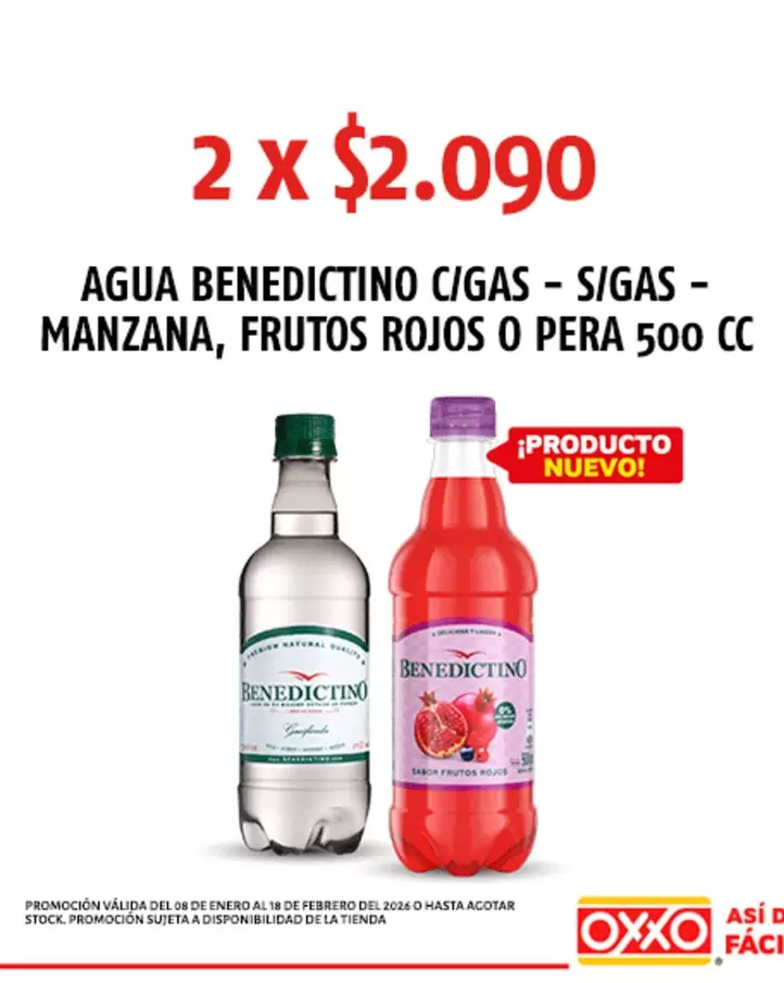Benedictino - Agua  S/Gas - S/Gas - Manzana, Frutos Rojos O Pera