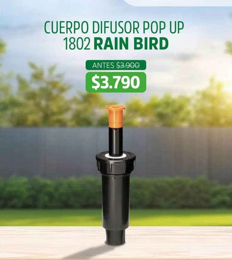 Pop - Cuerpo Difusor  Up