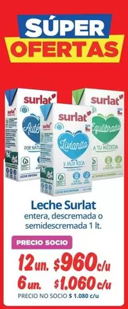 Surlat - Leche